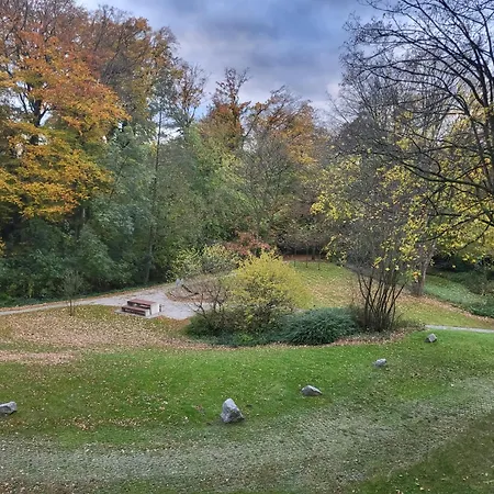 酒店 梅特曼酒店 3*