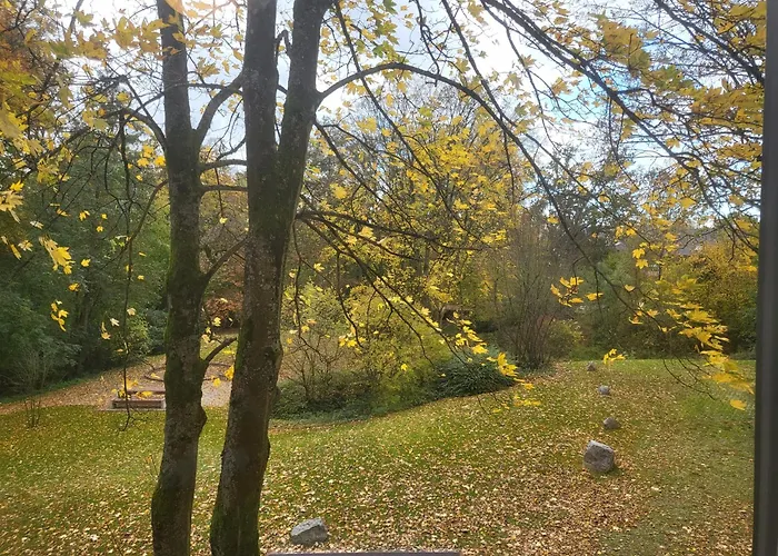 Hotel Mettmann מטמן